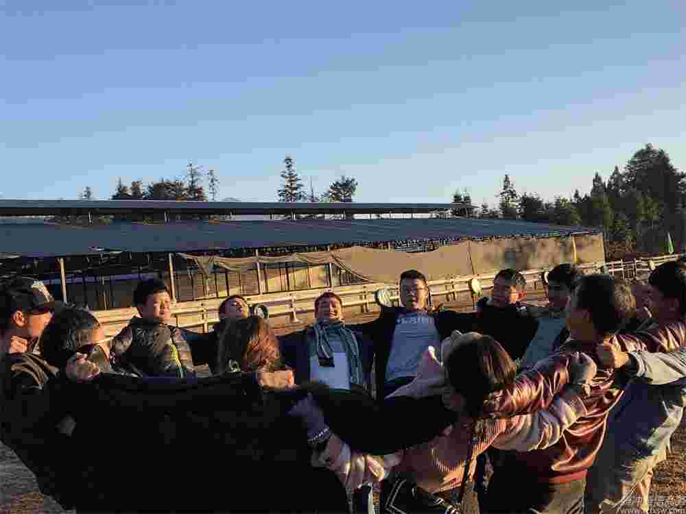 團隊建設、熔煉凝聚力